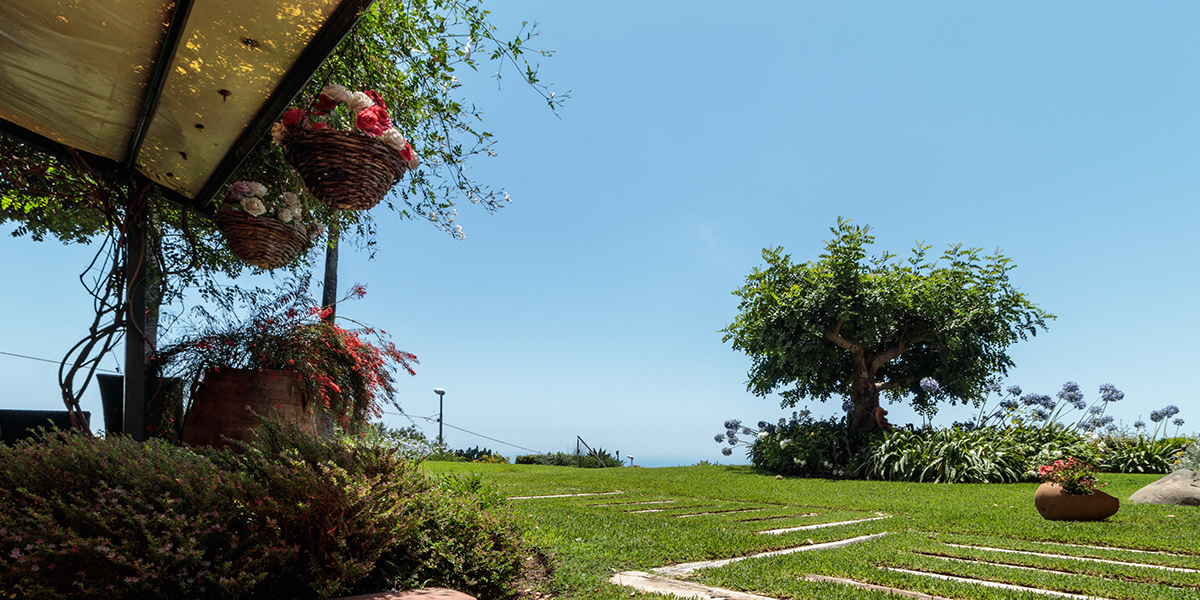 Cyclope's House - Giardino con patio