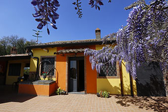 Palmento House - Piedimonte Etneo - Catania